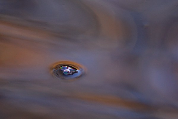 Eye Of the Storm by Deb Oppermann